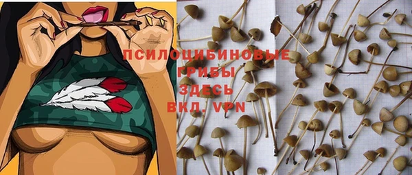 мескалин Богданович