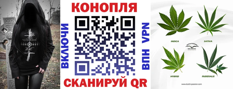Купить  Моздок  Бошки марихуана ГИДРОПОН 